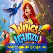 fenologia do gergelim